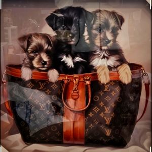 📉📉 Price Drop Design District 3 Pups in Louis Vuitton Purse